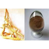 Eurycoma (longjack) Extract (sky@3wbio.com)