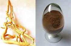 Eurycoma (longjack) Extract (sky@3wbio.com)