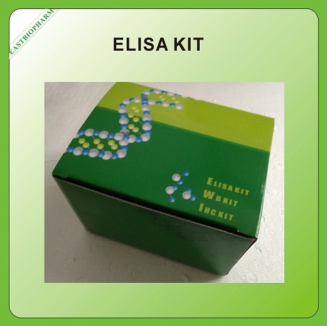 Human Leukotriene D4, Lt-d4 Elisa Kit