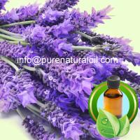 Pure Lavender Essential Oil
