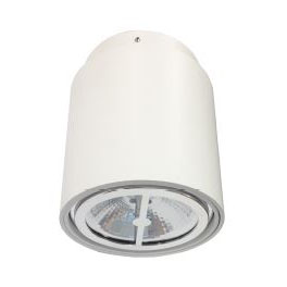 Max.15W LED Surface Mounted Downlight /Haver