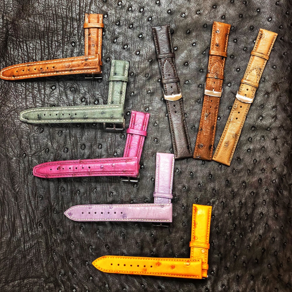 2019 New Arrival Ostrich Body Leather Watch Straps