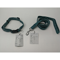 Pet Collar & Leash