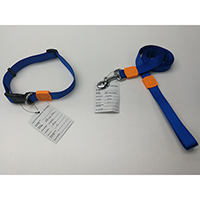 Pet Collar & Leash