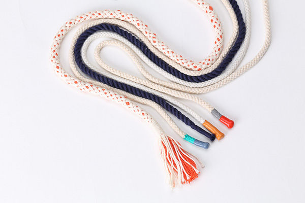 Shoelace