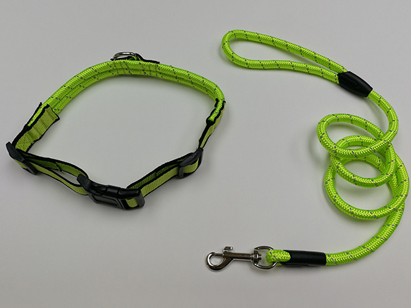 Pet Collar & Leash