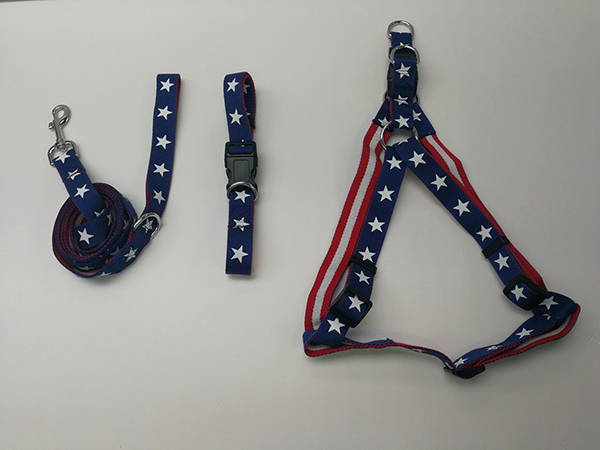 Pet Leash, Collar & Harness