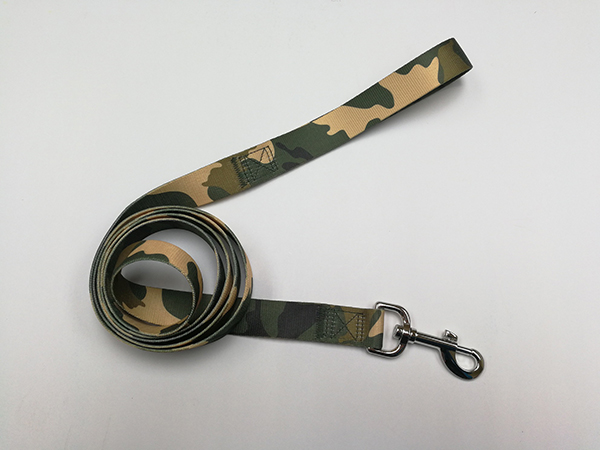 Pet Leash