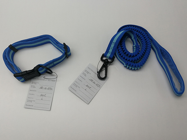 Pet Collar & Leash