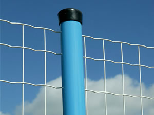 Sell Wire Mesh Fence