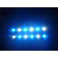 120w Led Aquarium Light Bule:white 1:1