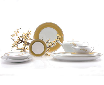 Porcelain Dinnerware