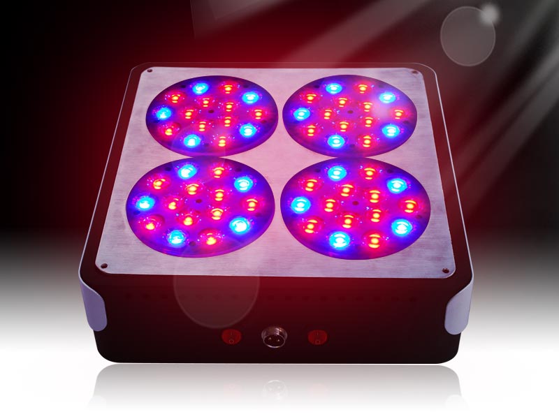 Most Popular Apollo 4 Led Grow Light From Cidly