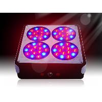 Sell Most popular apollo 4 led grow light from cidly