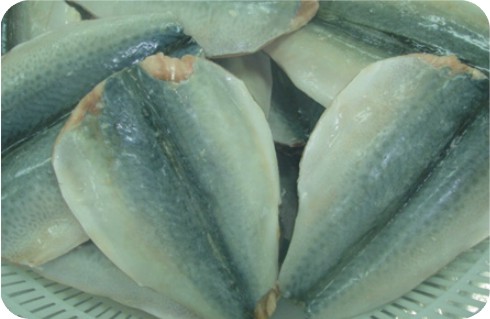 Frozen Mackerel Whole Round/HGT/Fillet/Butterfly Flaps/Section