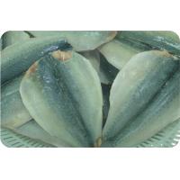Frozen Mackerel Whole Round/hgt/fillet/butterfly Flaps/section