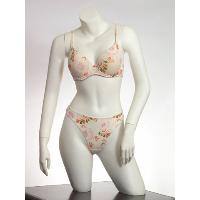 Ladies Bra & Bra Set004