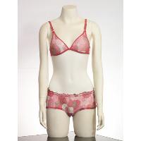 Ladies Bra & Bra Set003