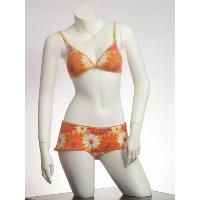 Ladies Bra & Bra Set 007