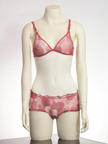 Ladies Bra & Bra Set003