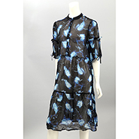 Ladies Dress