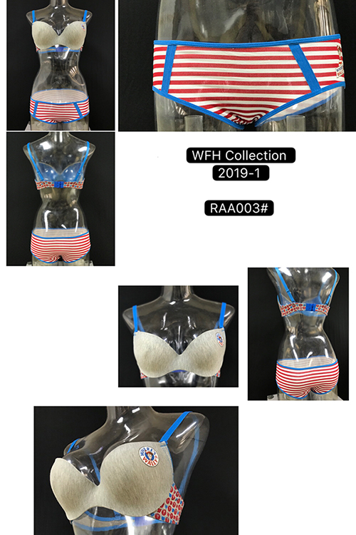 Push Up Plunge Concealed Underwire Bra Set