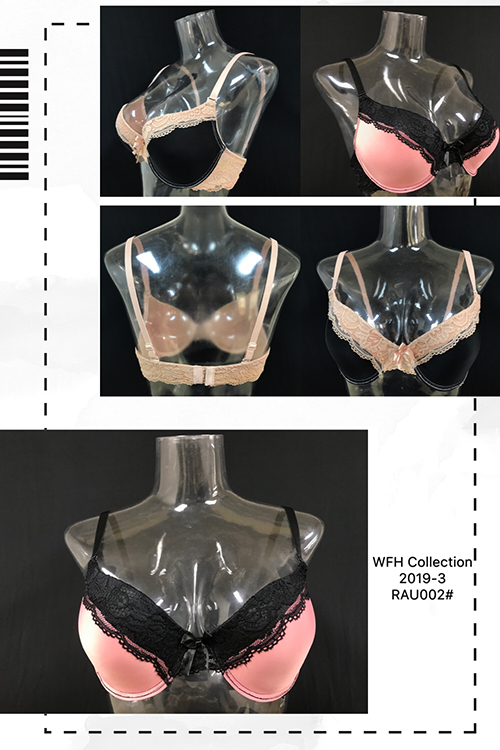 Two-Tone Lace Insert Bra