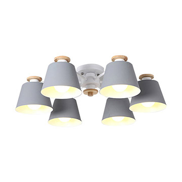 LED Ceiling Light