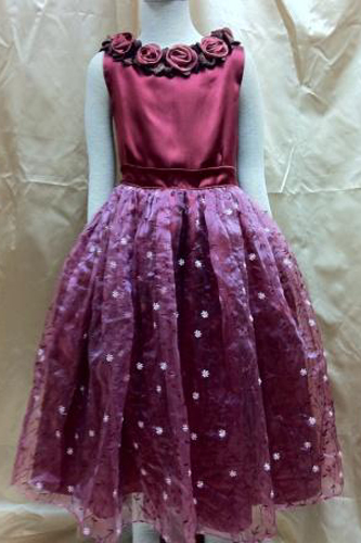 Girl's Dress