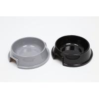 Dog Bowl