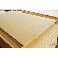 Chinese Paulownia Edge Glued Panel Board