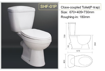 Two-piece Toilet