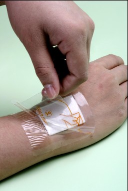 Transparent Wound Dressing