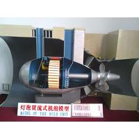 Bulb tuebine generator unit