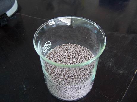 Bentonite Cat Litter