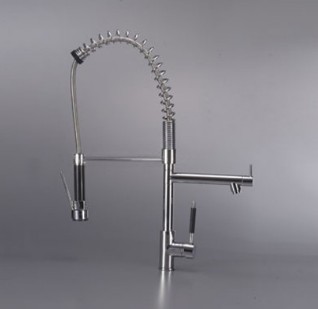 Spring Master Sink Mixer With Flexible Spray Fkk2060