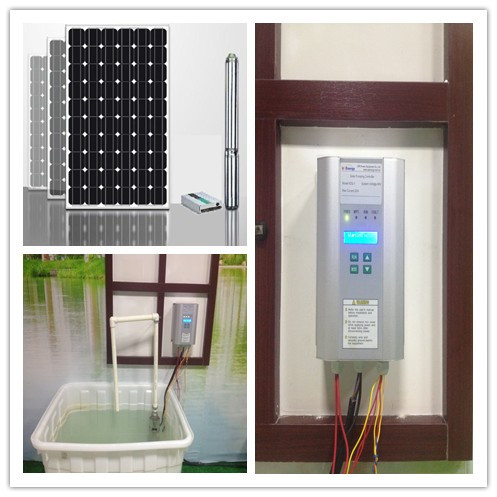 12v/24v Wise Solar Water Pump