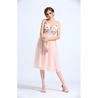 Ladies Dress