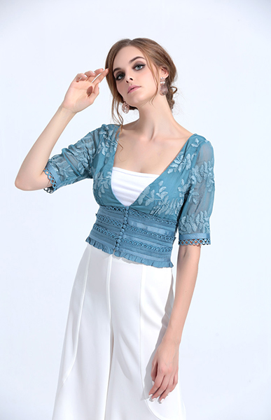 Half Sleeve Deep V-neck Lace Cropped Top