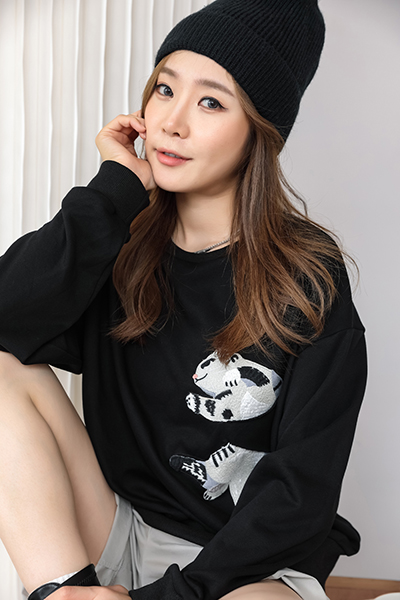 A/W Women's Kitten Embroidery Patch Pullover Sweater