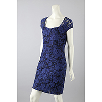 Lace Knee Length Dress