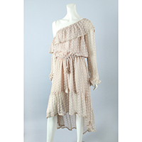 Silk Embro Off The Shoulder Dress
