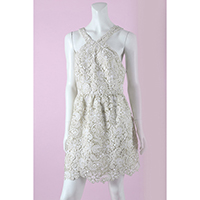 Embro Lace Short Dress