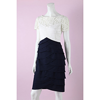 Lace with Crepe Knee Length Dress