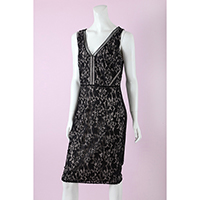 Lace Contrast Knee Length Dress