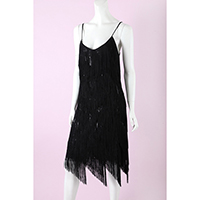 Fringe with Sequin Knee Length Dress