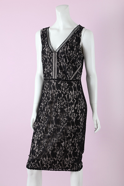 Lace Contrast Knee Length Dress