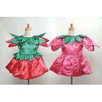 Girls Fun Costume Dresses
