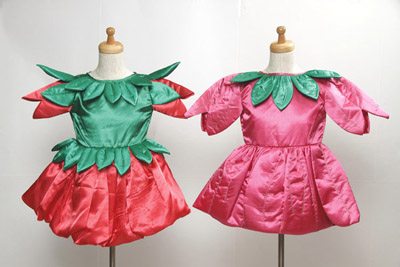 Girls Fun Costume Dresses