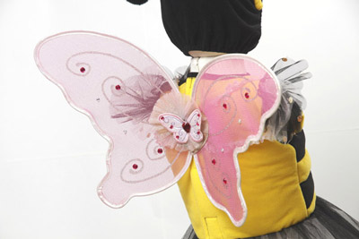 Butterfly Costume